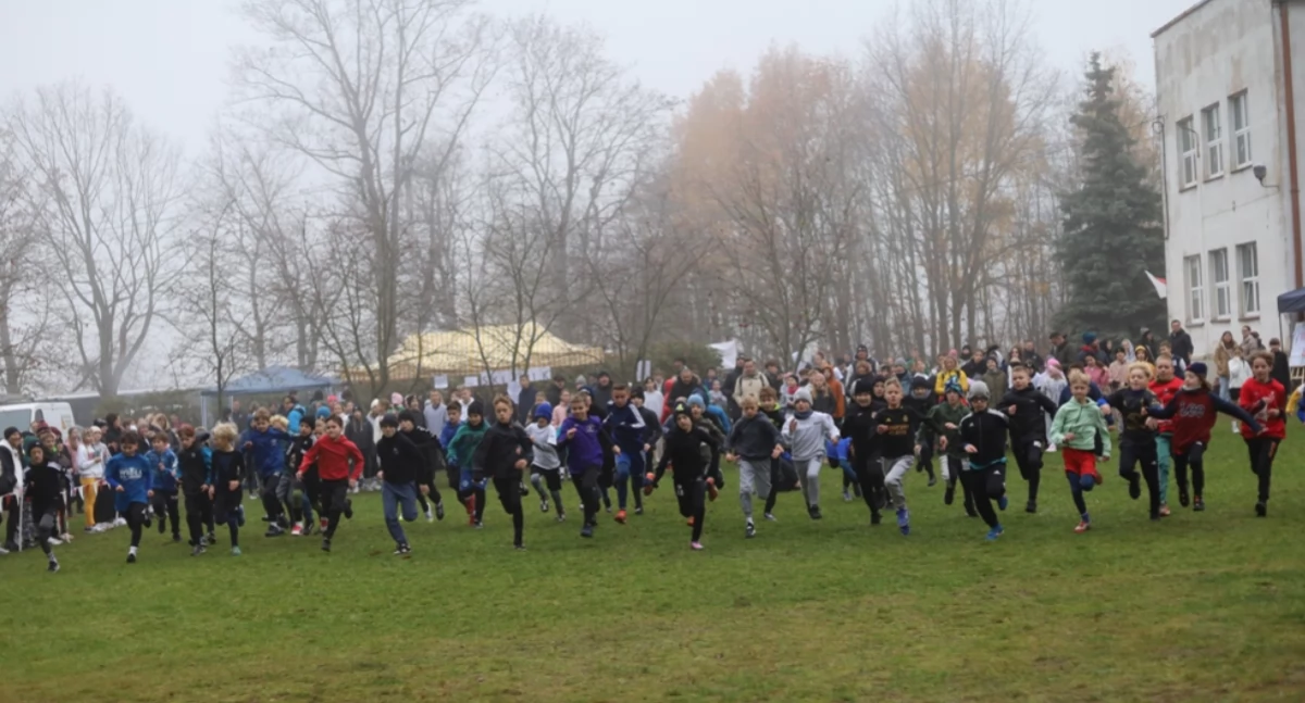 Oświata, Jesienne Biegi Przełajowe okazji Niepodległości Podgórze - zdjęcie, fotografia