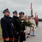 zdjęcie nr 14