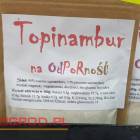 zdjęcie nr 9