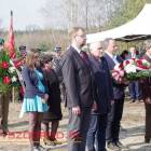 Fotka nr 5 z 13