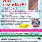 Fotka nr 2 z 3