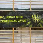 zdjęcie nr 10