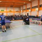 zdjęcie nr 11