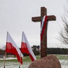 zdjęcie nr 11