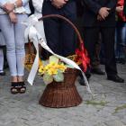 zdjęcie nr 40