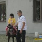 zdjęcie nr 15