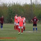 zdjęcie nr 11