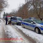 Fotka nr 1 z 2
