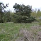 Fotka nr 5 z 8