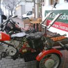 Fotka nr 3 z 15