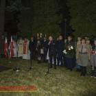 zdjęcie nr 7