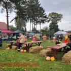 zdjęcie nr 10