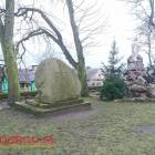 zdjęcie nr 7