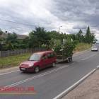 zdjęcie nr 17