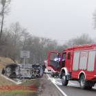 Fotka nr 5 z 8