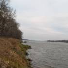 zdjęcie nr 11