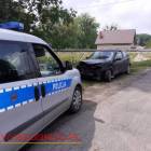Fotka nr 1 z 3