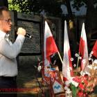 zdjęcie nr 15