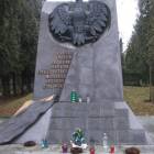zdjęcie nr 10