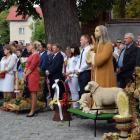 zdjęcie nr 14
