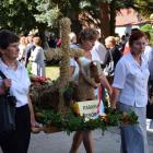 zdjęcie nr 23