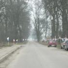 zdjęcie nr 42