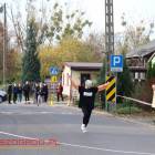 zdjęcie nr 49