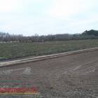 zdjęcie nr 24