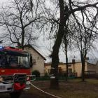 zdjęcie nr 8