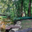 zdjęcie nr 